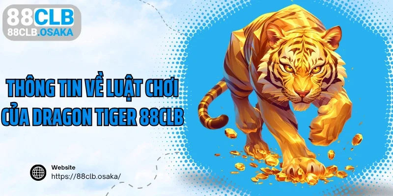 Thông tin về luật chơi của Dragon Tiger 88CLB